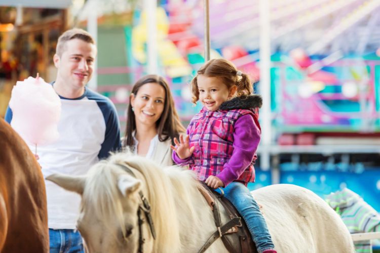 Dieren op evenementen